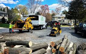 Best Lawn Disease Treatment  in Oliver, PA