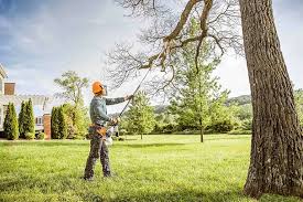 Best Pest Control for Lawns  in Oliver, PA
