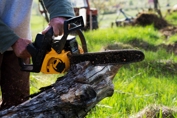 Best Tree Mulching  in Oliver, PA