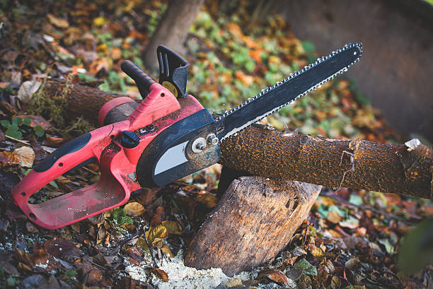 Best Storm Damage Tree Cleanup  in Oliver, PA